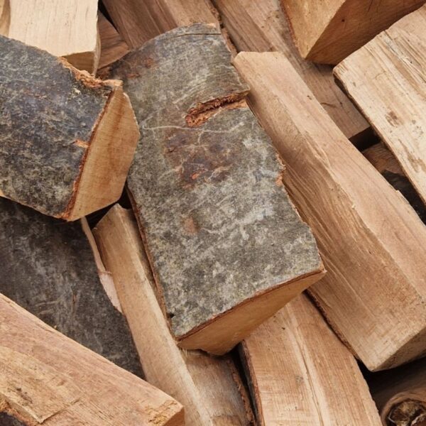 Beech firewood for sale