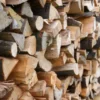 Eucalyptus firewood for sale